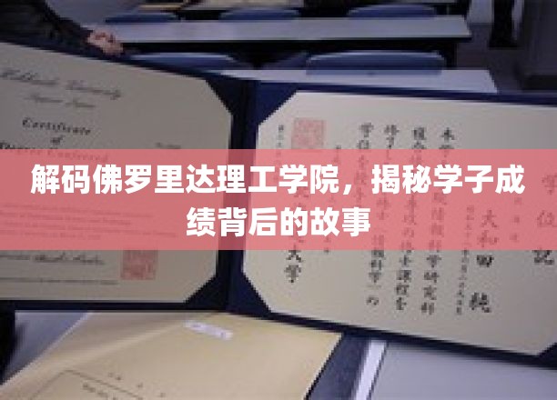 揭开佛罗里达理工学院学子卓越成绩的秘密之旅