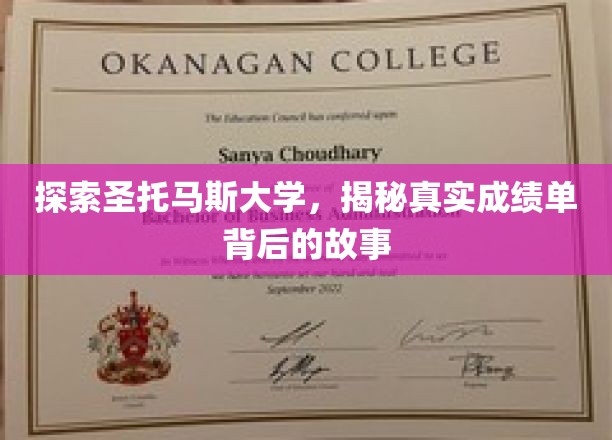解码圣托马斯大学，成绩单背后的非凡历程