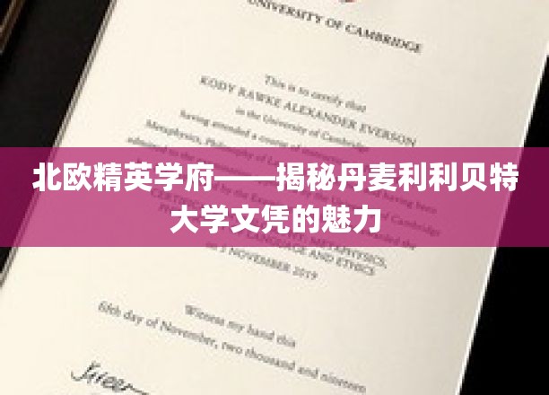 探索丹麦利利贝特大学，北欧精英教育的璀璨明珠