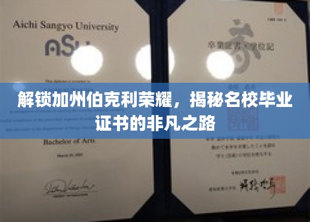 加州伯克利荣耀之路，探寻名校证书背后的非凡历程
