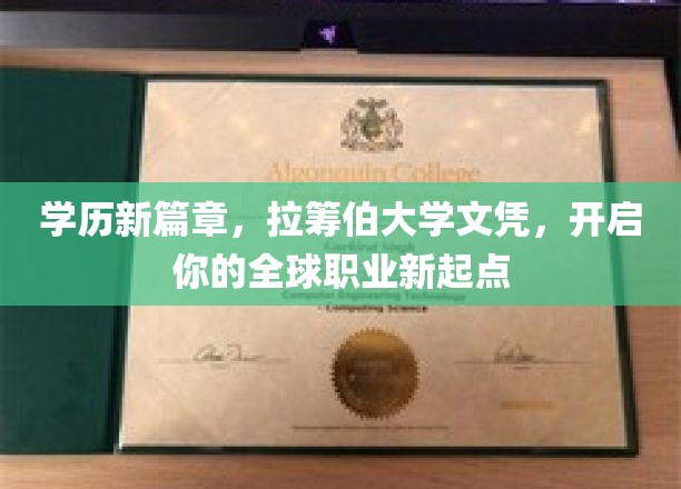 全球视野，伯大文凭领航，探索无限职业新里程