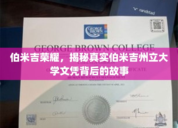 伯米吉荣耀，揭秘真实伯米吉州立大学文凭背后的故事