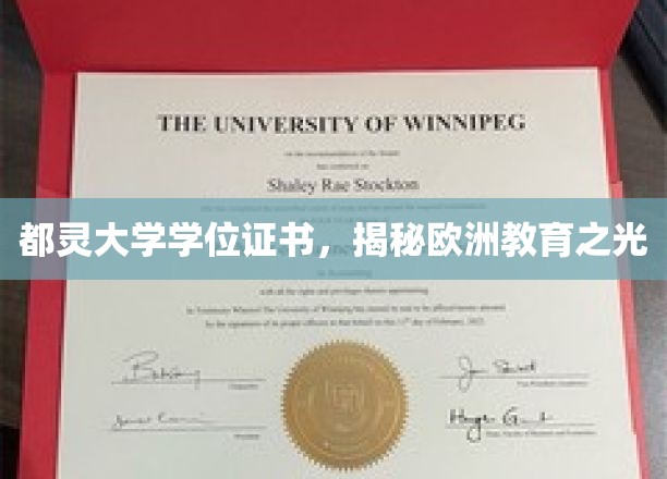 探寻都灵大学荣耀，欧洲教育璀璨明珠背后的学位证书之谜
