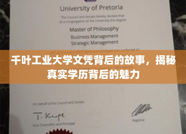 千叶工业大学文凭背后的传奇，探寻学历背后的独特魅力