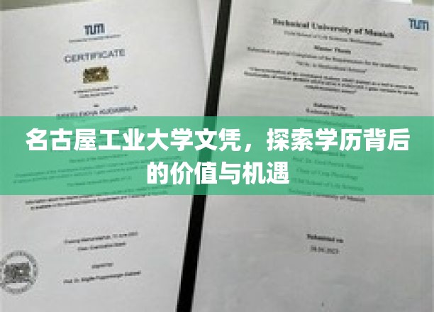 名古屋工业大学文凭，探索学历背后的价值与机遇