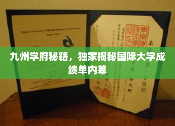 九州学府秘籍，独家揭秘国际大学成绩单内幕