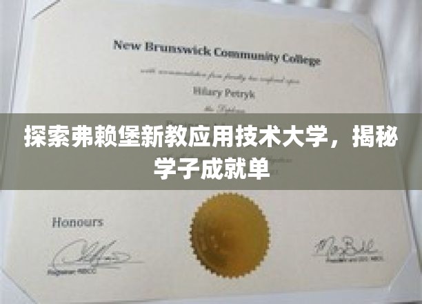 解锁弗赖堡新教应用技术大学，学子非凡成就之旅