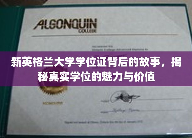新英格兰大学学位证背后的故事，揭秘真实学位的魅力与价值