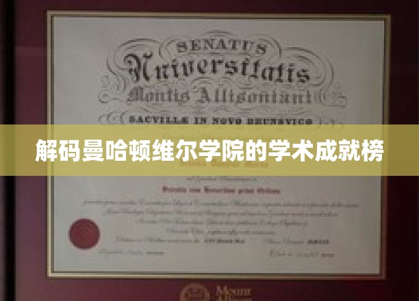 揭秘曼哈顿维尔学院的学霸秘籍，成就榜背后的故事