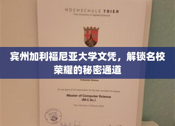 名校荣耀之门，宾州加利福尼亚大学文凭的秘密路径