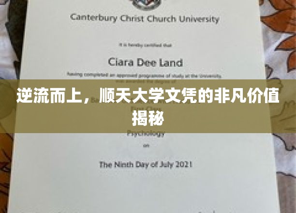 逆流而上，顺天大学文凭的非凡价值揭示
