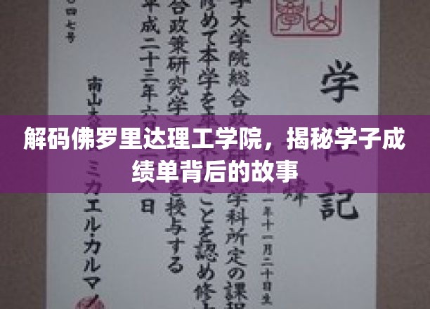 揭开佛罗里达理工学院学霸背后的秘密世界