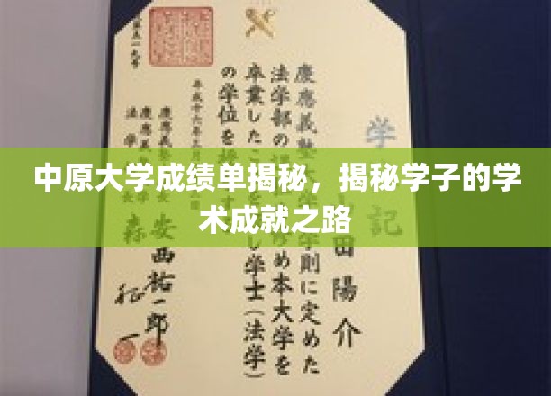 探秘中原学子卓越学术之旅，成绩单背后的奋斗印记