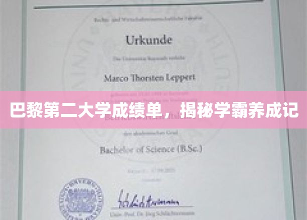 法国名校学霸养成记，揭秘巴黎第二大学成绩单背后的故事
