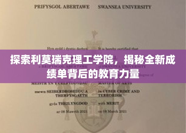 解码利莫瑞克理工学院，革新成绩单背后的教育革新之旅