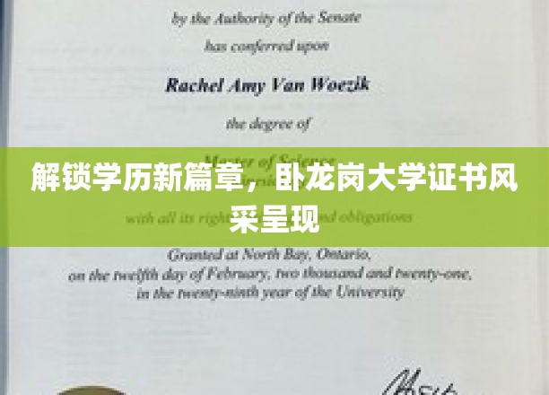 学历新视界，卧龙岗大学证书，开启职业新航程