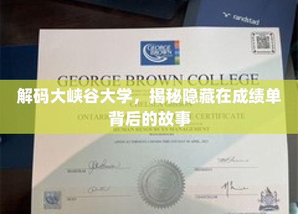 解码大峡谷大学，揭秘隐藏在成绩单背后的故事