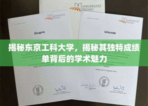 揭秘东京工科大学，探寻其独到成绩单背后的学术魅力