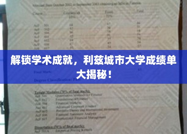 揭秘利兹城市大学，学术成果背后的辉煌瞬间