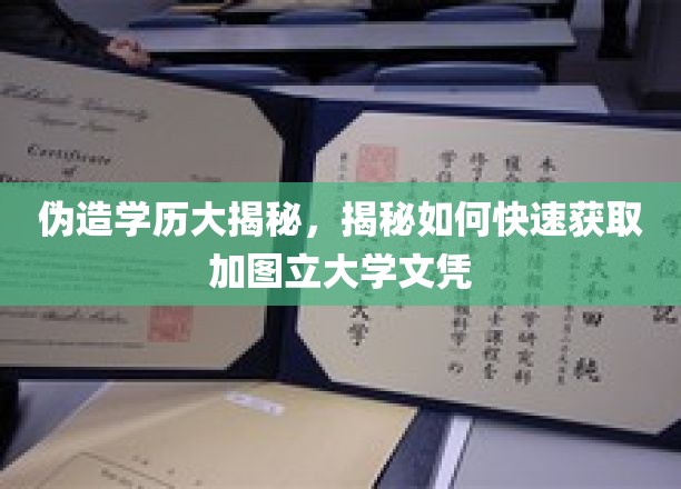 伪造学历大揭秘，揭秘如何快速获取加图立大学文凭