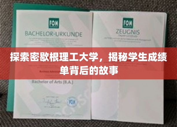 解码密歇根理工大学，一窥学生成绩单背后的秘密世界