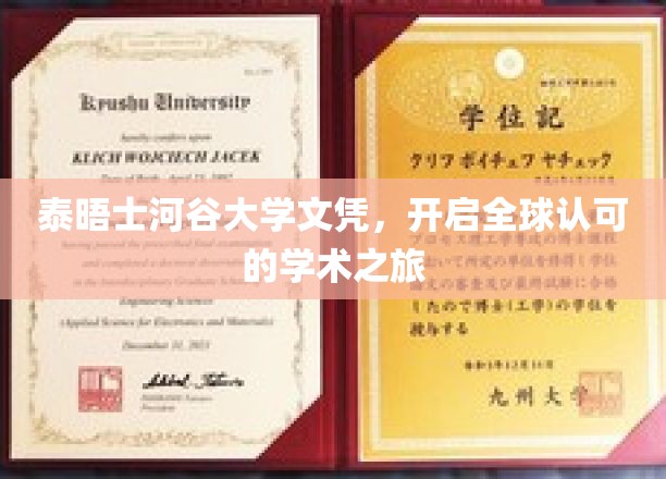 解锁国际舞台，泰晤士河谷大学文凭助你全球学术扬帆起航