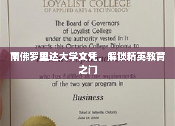 南佛罗里达大学文凭，开启精英教育之门