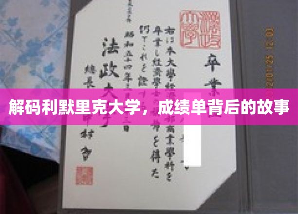 解码利默里克大学，成绩单背后的故事