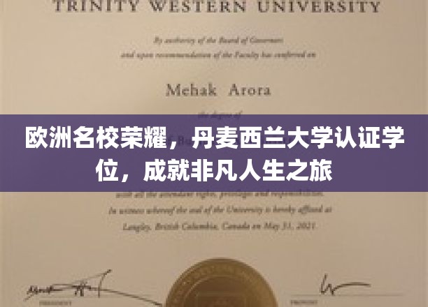 丹麦西兰大学学位闪耀，开启非凡人生之旅！