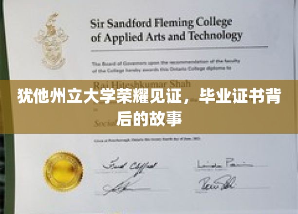 犹他荣耀，毕业证书背后的不凡历程
