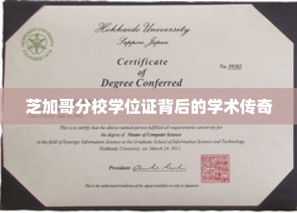 芝加哥分校学位证，揭开一段传奇学术之旅的神秘面纱