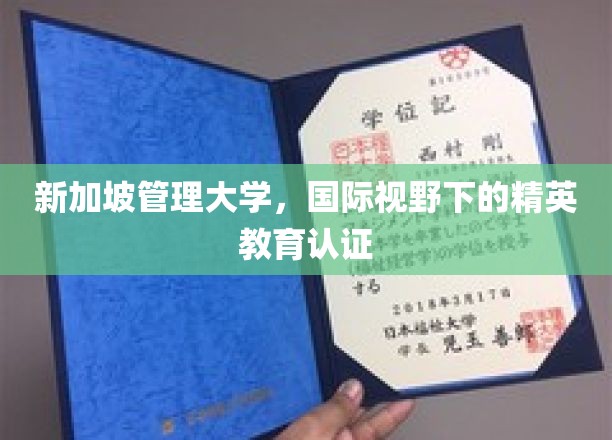 新视野精英养成，新加坡管理大学教育品质解析