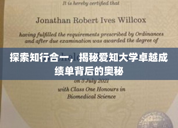 探索知行合一，揭秘爱知大学卓越成绩单背后的奥秘