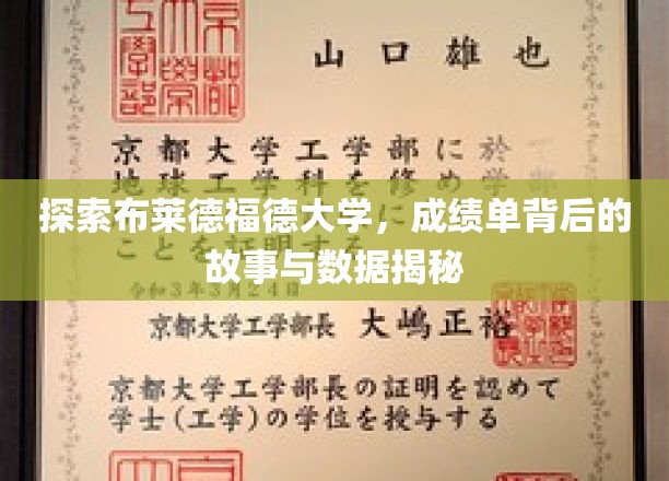 解码布莱德福德大学成绩单，揭秘学术成就背后的真实数据与故事