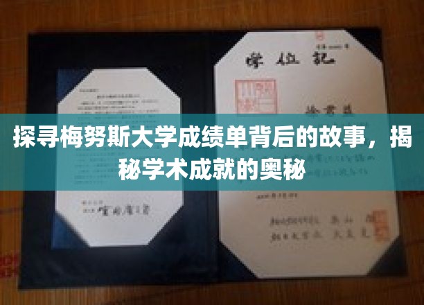 深入解读梅努斯大学成绩单：探寻学术成就的深层奥秘
