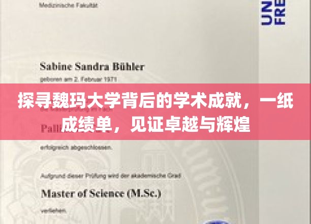 探寻魏玛大学背后的学术成就，一纸成绩单，见证卓越与辉煌