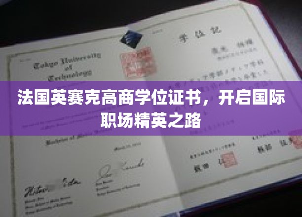 解码国际职场精英护照，法国英赛克高商学位证书引领未来