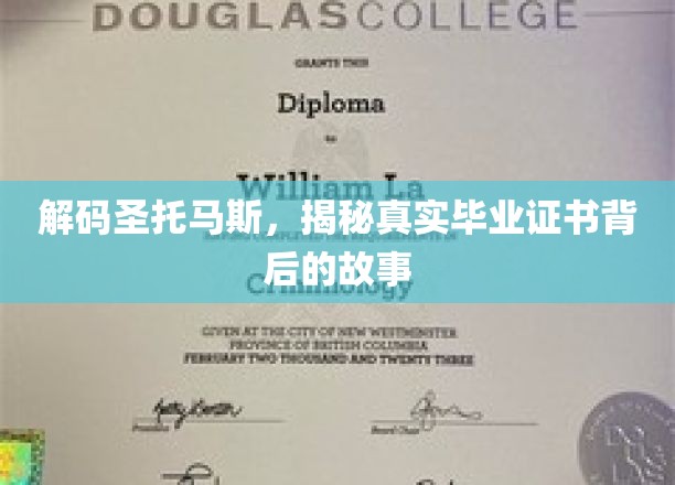 探寻圣托马斯大学证书之谜，毕业证书背后的真实传奇