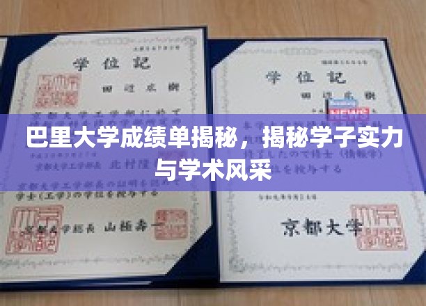 巴里大学成绩单揭秘，揭示学子实力与学术风采