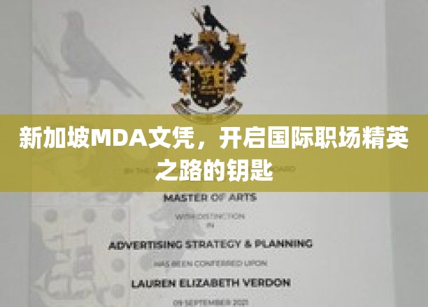 新加坡MDA文凭，开启国际职场精英之路的钥匙