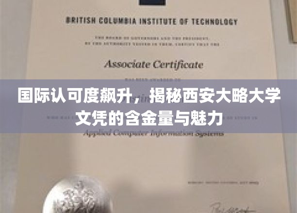 国际认可度飙升，揭秘西安大略大学文凭的含金量与魅力
