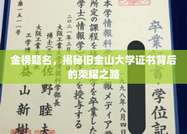 旧金山大学金榜荣耀，揭开证书背后的奋斗篇章