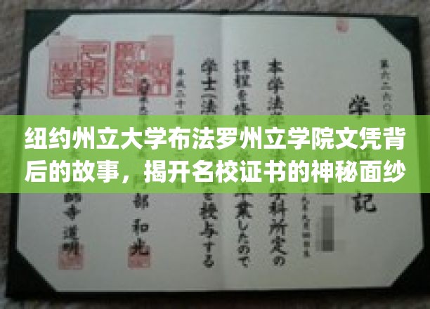 探寻纽约州立大学布法罗州立学院文凭背后的传奇，解码名校证书的奥秘