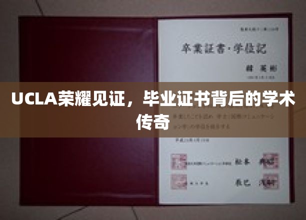 UCLA荣耀绽放，一纸证书背后的学术辉煌历程