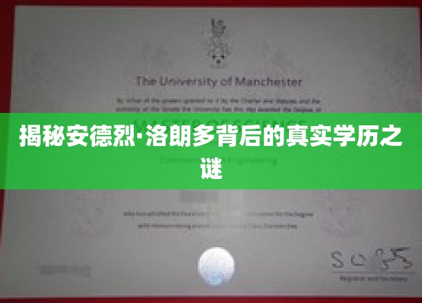 揭开神秘面纱，洛朗多真实学历背后的惊人真相