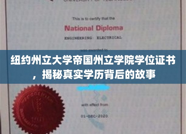 纽约州立大学帝国州立学院学位证书，探寻学历背后的传奇之路