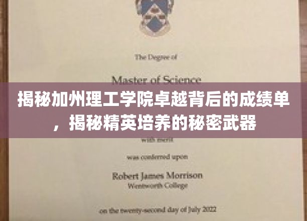 揭秘加州理工学院卓越背后的成绩单，揭秘精英培养的秘密武器