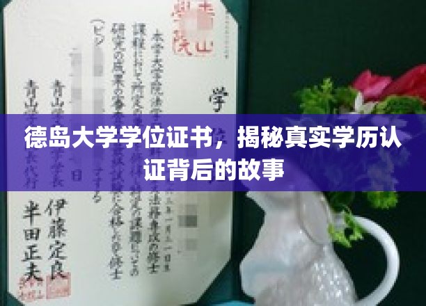 揭开德岛大学学历认证背后的神秘面纱