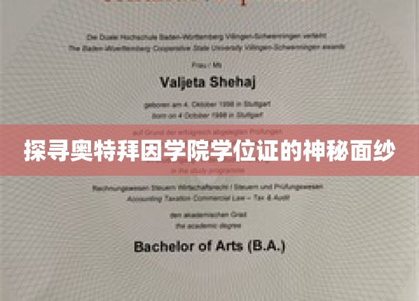 奥特拜因学院学位证背后的神秘魅力揭晓