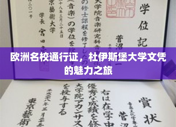 解锁欧洲精英教育，杜伊斯堡大学文凭的全球通行证之旅
